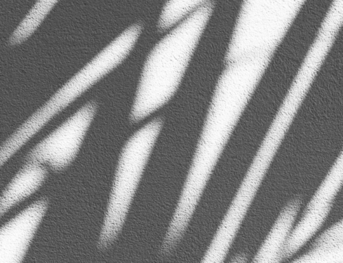 From Shadow to Substance