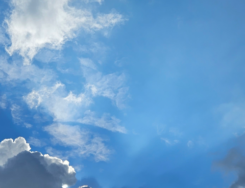 United in Christ’s New Kingdom